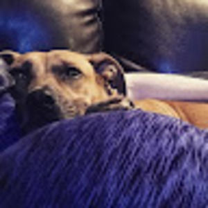 Meet your Posher, Meredith